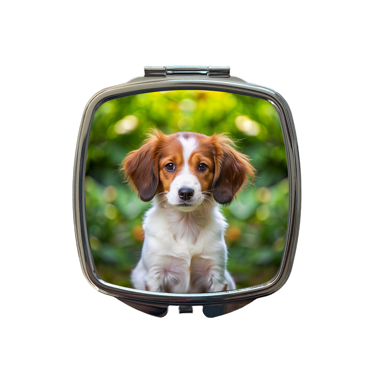 Nederlandse Kooikerhondje Dog Puppy Photo Small Travel Purse Handbag Pocket Makeup Compact Mirror