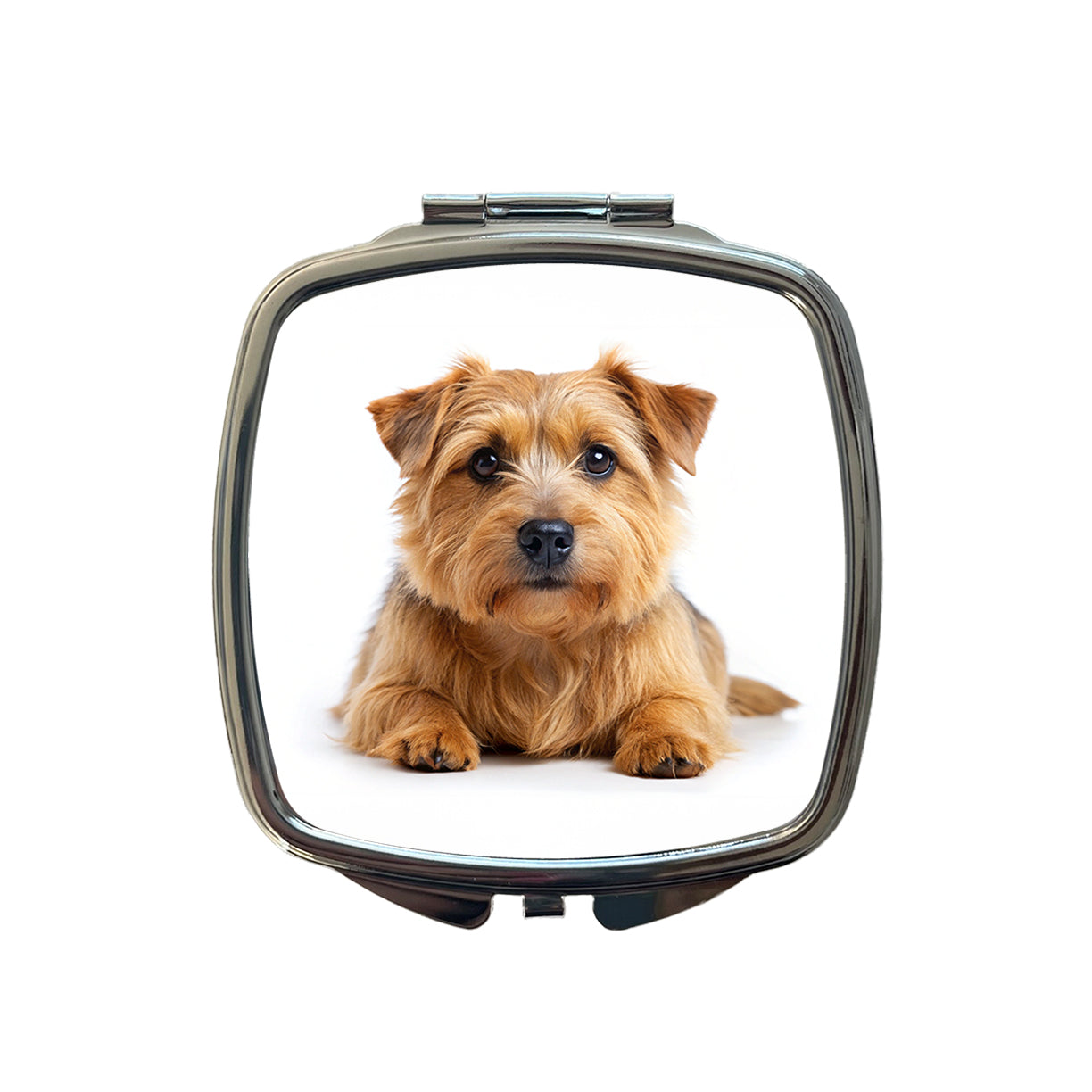 Norfolk Terrier Dog Photo Small Travel Purse Handbag Pocket Makeup Compact Mirror