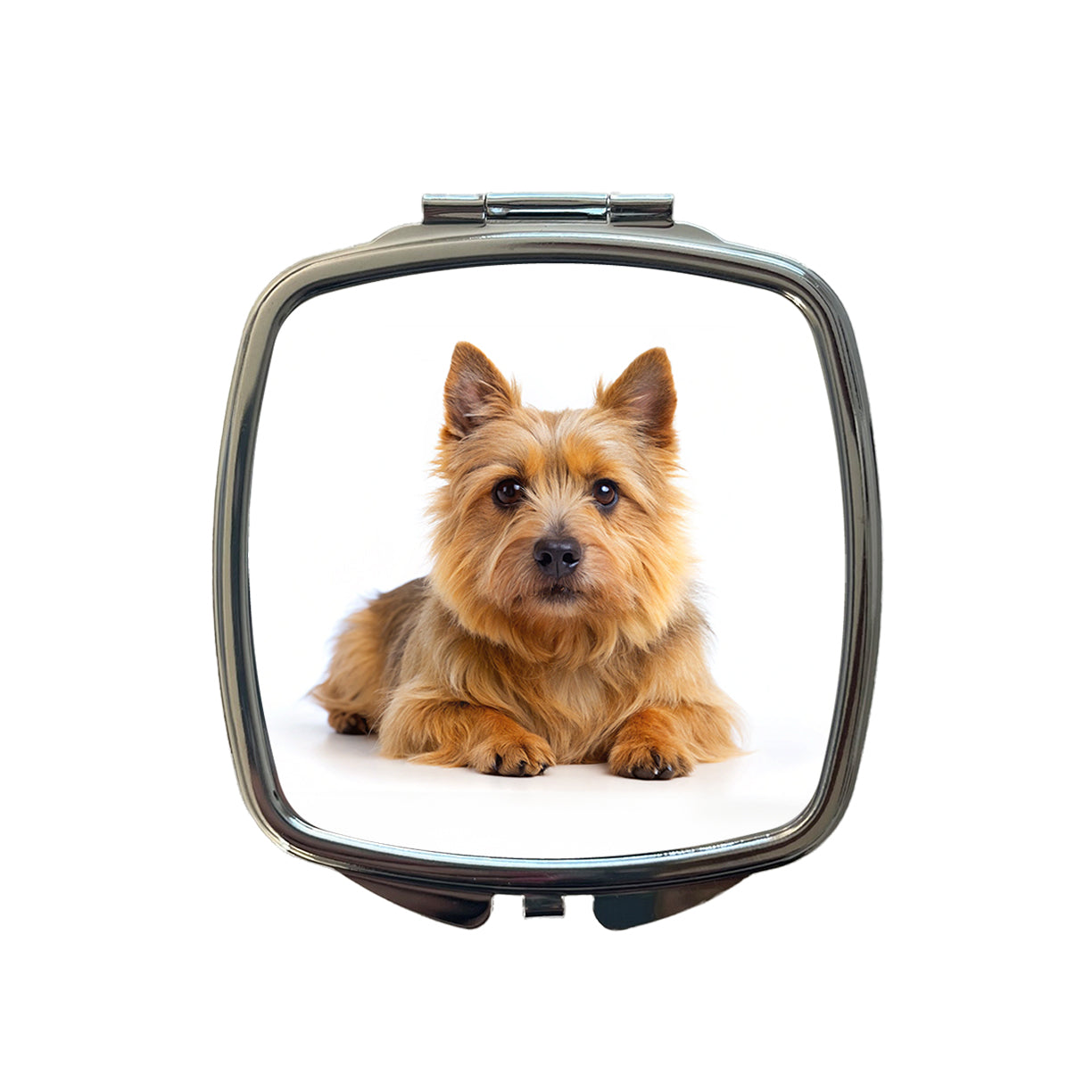 Norwich Terrier Dog Photo Small Travel Purse Handbag Pocket Makeup Compact Mirror