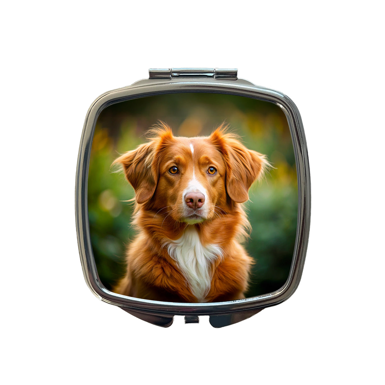 Nova Scotia Duck Tolling Retriever Dog Photo Small Travel Purse Handbag Pocket Makeup Compact Mirror