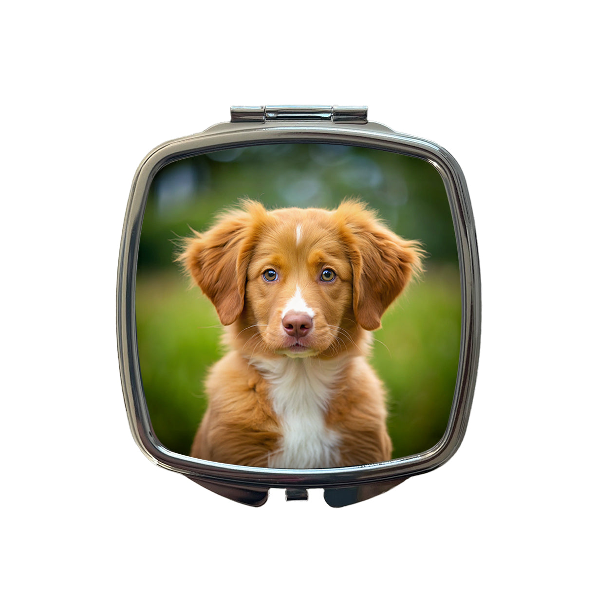 Nova Scotia Duck Tolling Retriever Dog Puppy Photo Small Travel Purse Handbag Pocket Makeup Compact Mirror