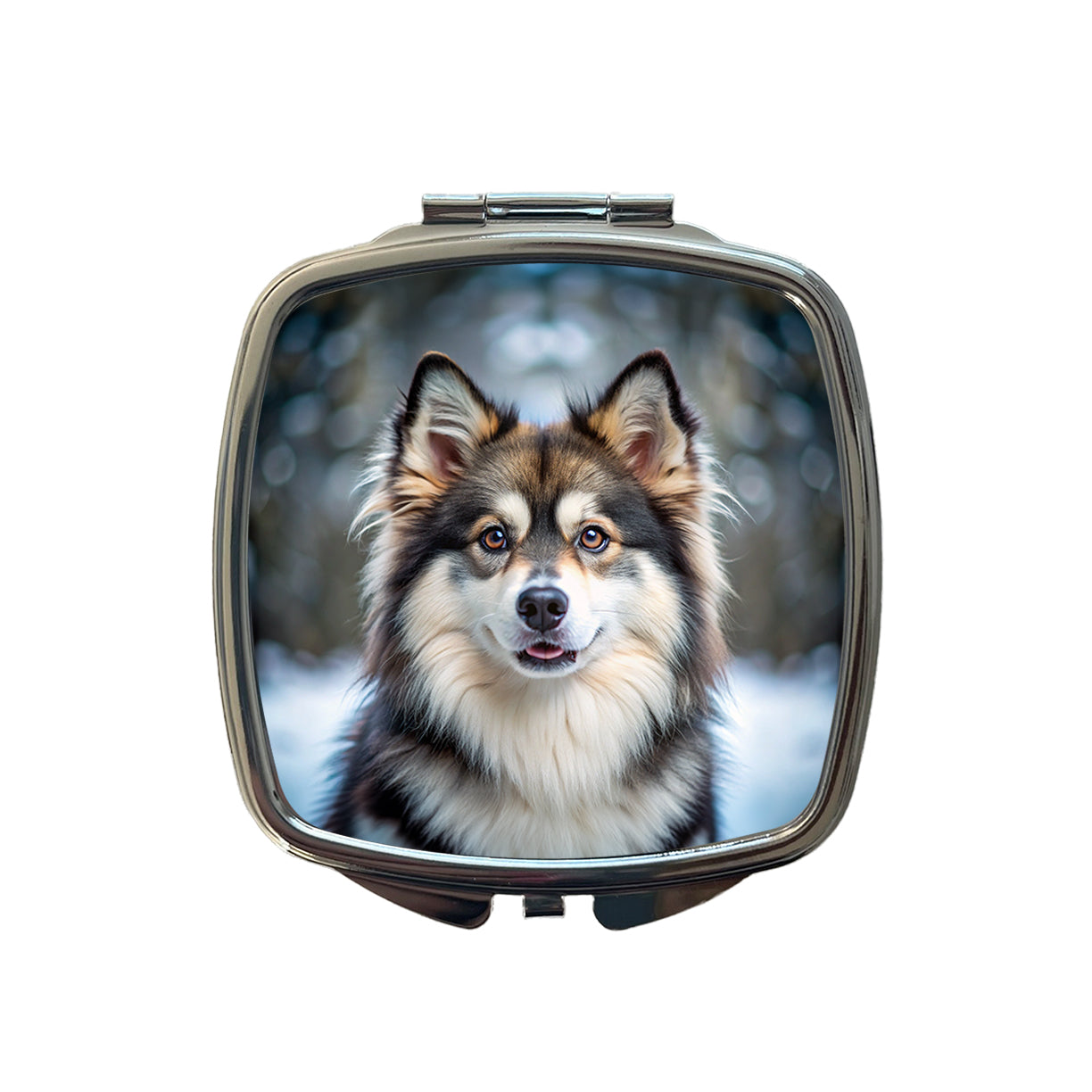 Pomsky Dog Photo Small Travel Purse Handbag Pocket Makeup Compact Mirror