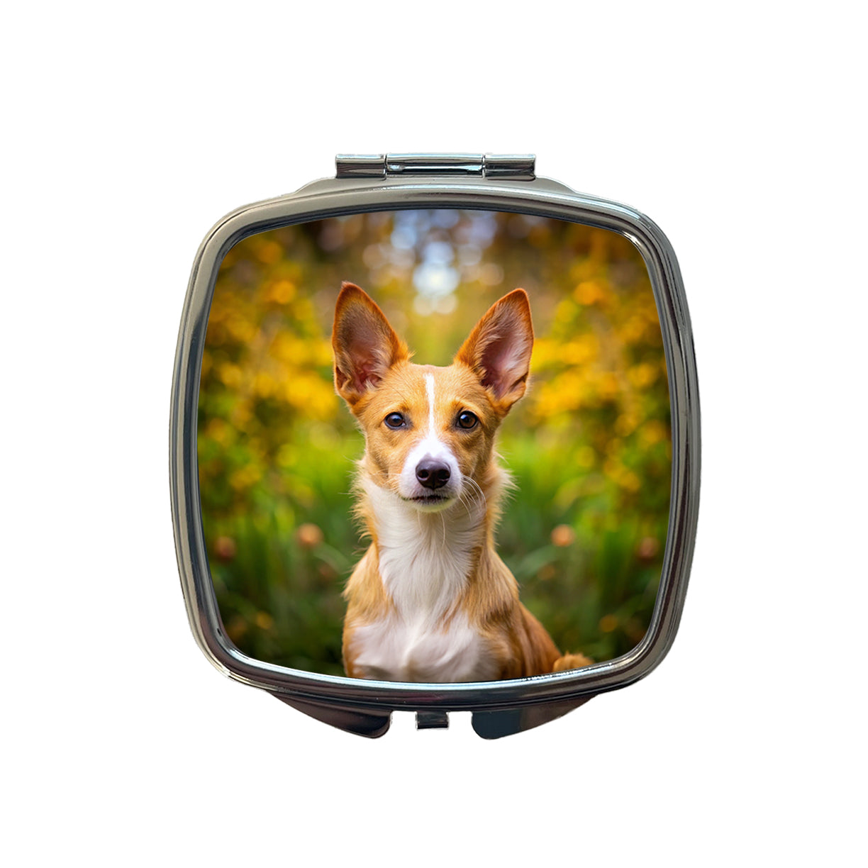 Portuguese Podengo Pequeno Dog Photo Small Travel Purse Handbag Pocket Makeup Compact Mirror