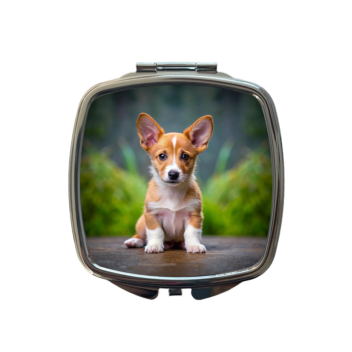 Portuguese Podengo Pequeno Dog Puppy Photo Small Travel Purse Handbag Pocket Makeup Compact Mirror