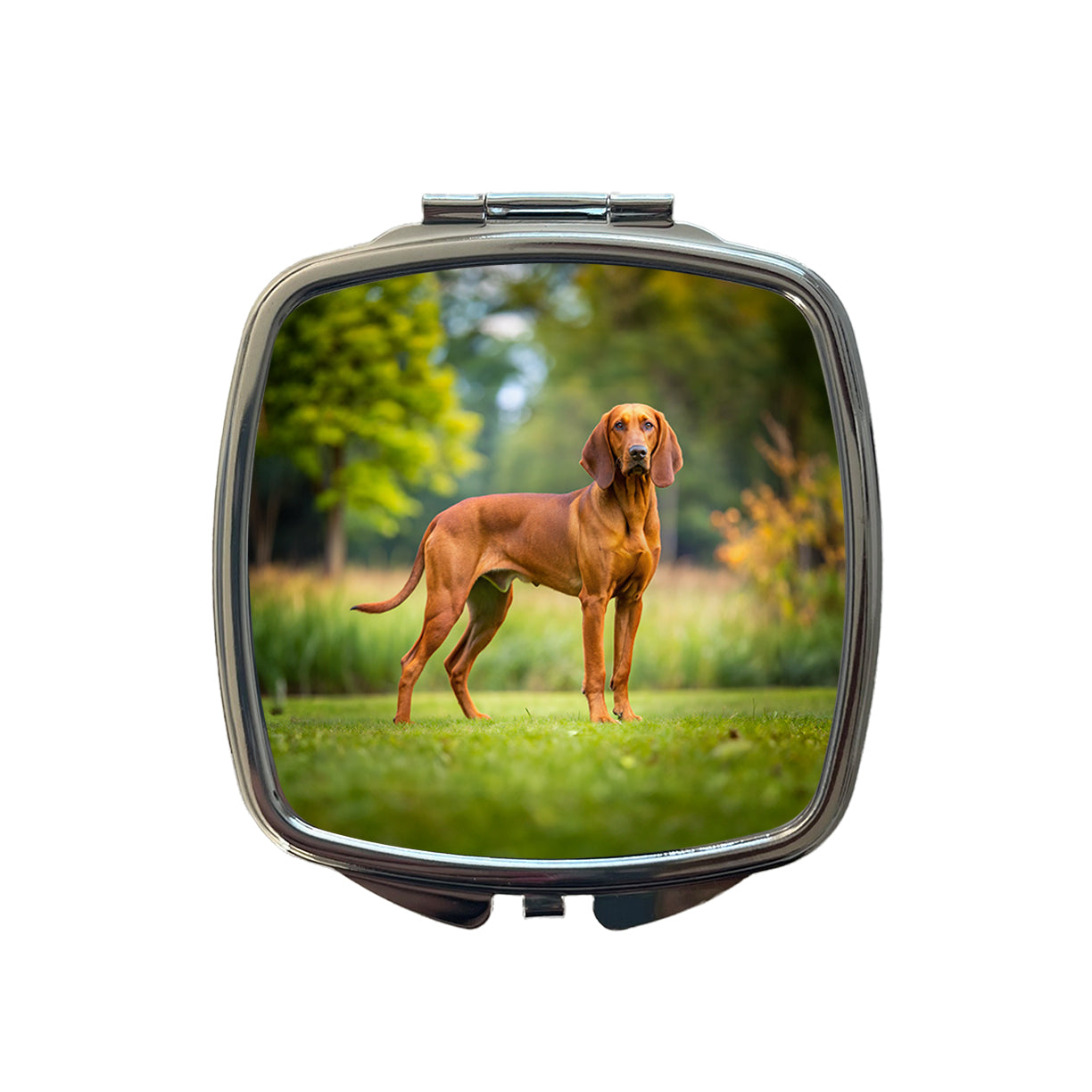 Redbone Coonhound Dog Photo Small Travel Purse Handbag Pocket Makeup Compact Mirror