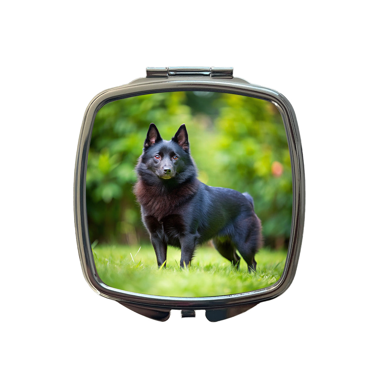 Schipperke Dog Photo Small Travel Purse Handbag Pocket Makeup Compact Mirror