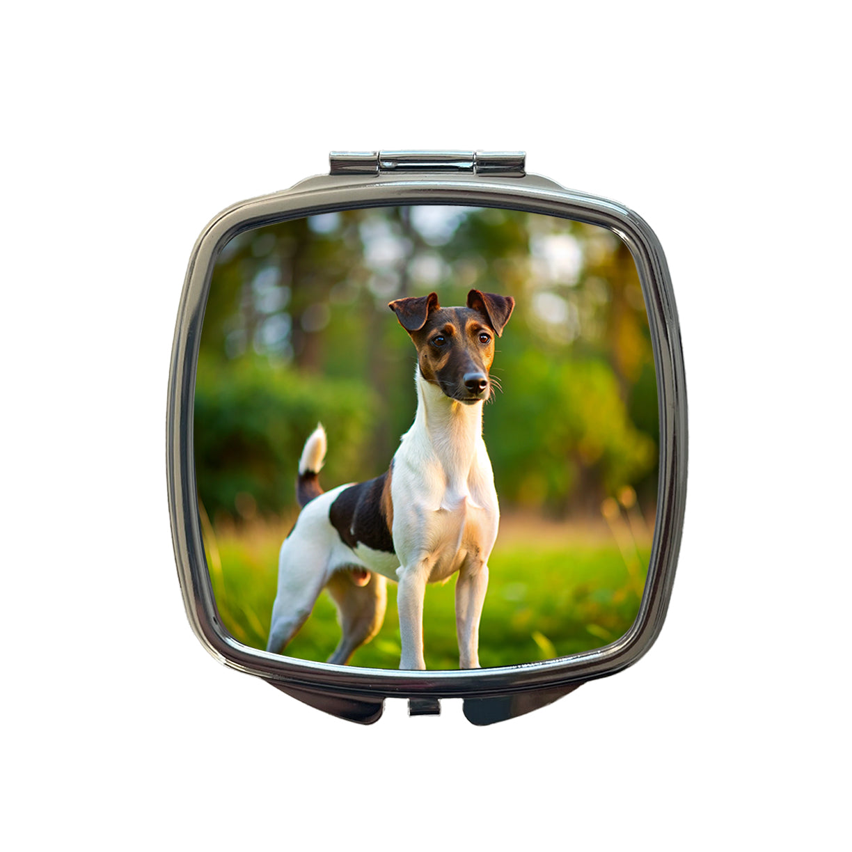 Smooth Fox Terrier Dog Photo Small Travel Purse Handbag Pocket Makeup Compact Mirror
