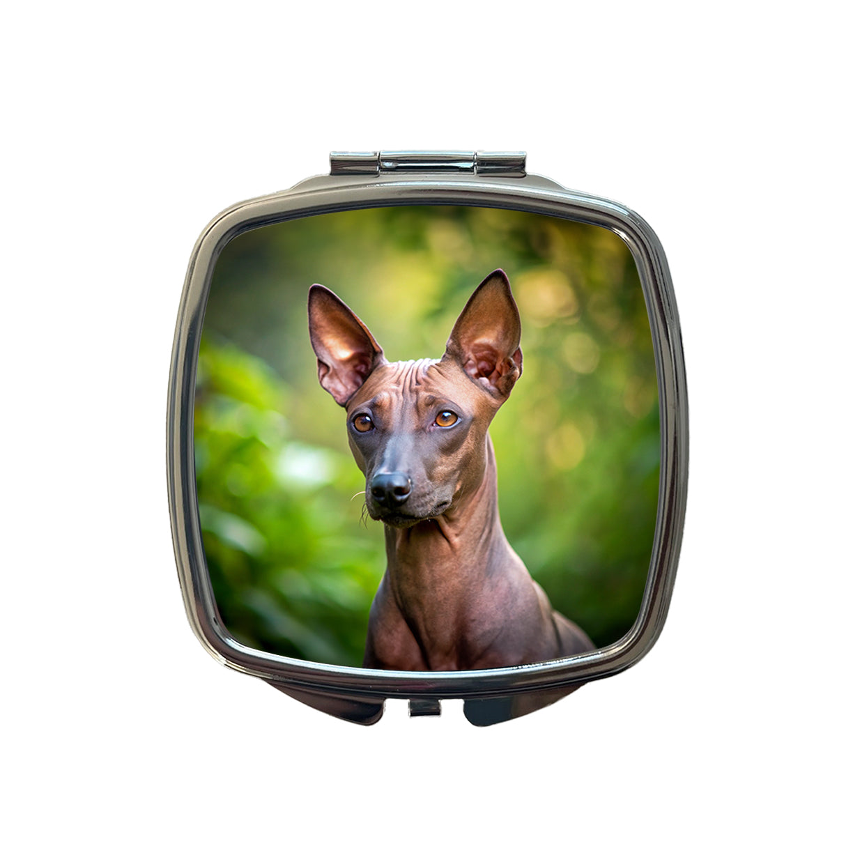 Xoloitzcuintli Xolo Mexican Hairless Dog Photo Small Travel Purse Handbag Pocket Makeup Compact Mirror