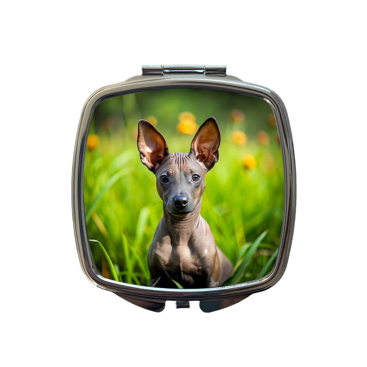 Xoloitzcuintli Xolo Mexican Hairless Dog Puppy Photo Small Travel Purse Handbag Pocket Makeup Compact Mirror