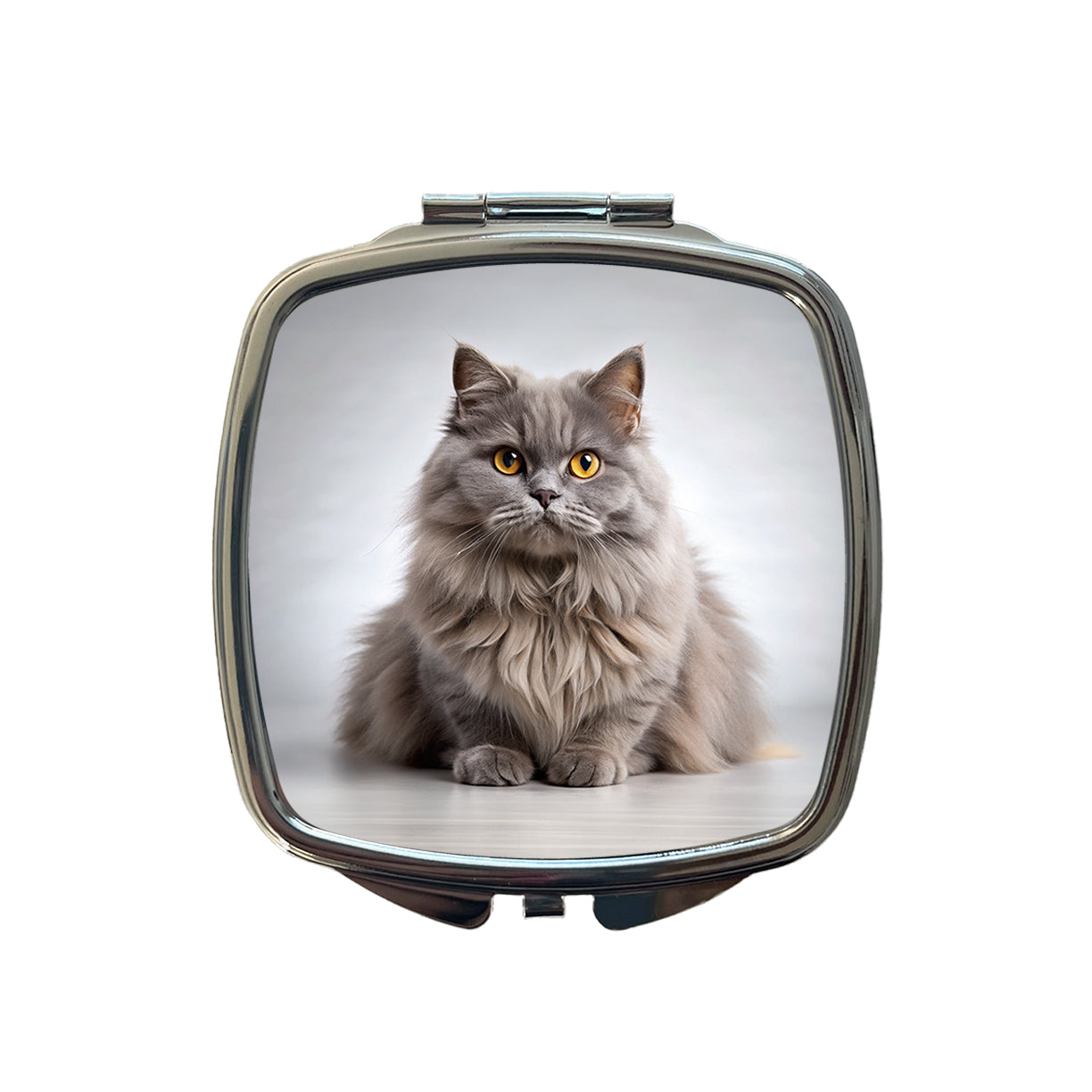 British Longhair Gray Cat Photo Small Travel Purse Handbag Pocket Makeup Compact Mirror