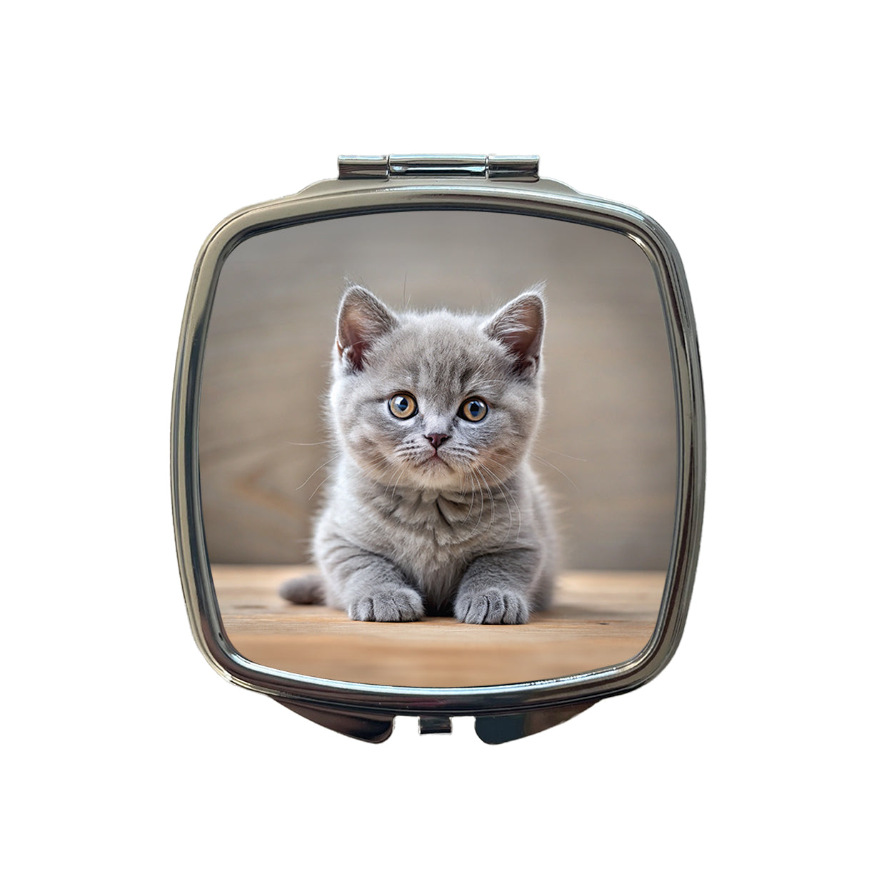 British Shorthair Gray Cat Kitten Photo Small Travel Purse Handbag Pocket Makeup Compact Mirror