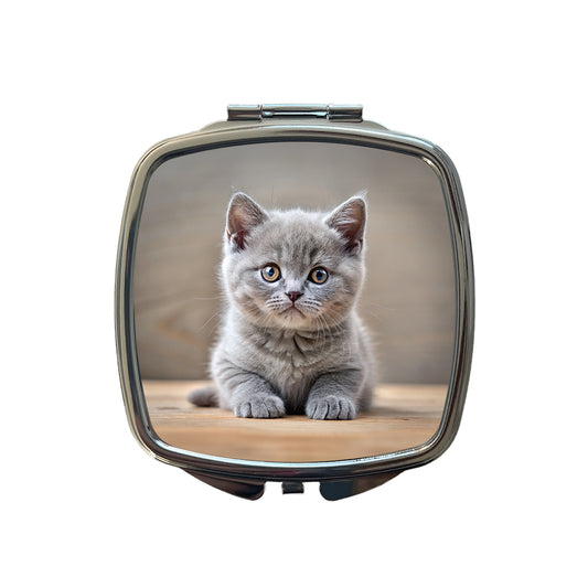 British Shorthair Gray Cat Kitten Photo Small Travel Purse Handbag Pocket Makeup Compact Mirror