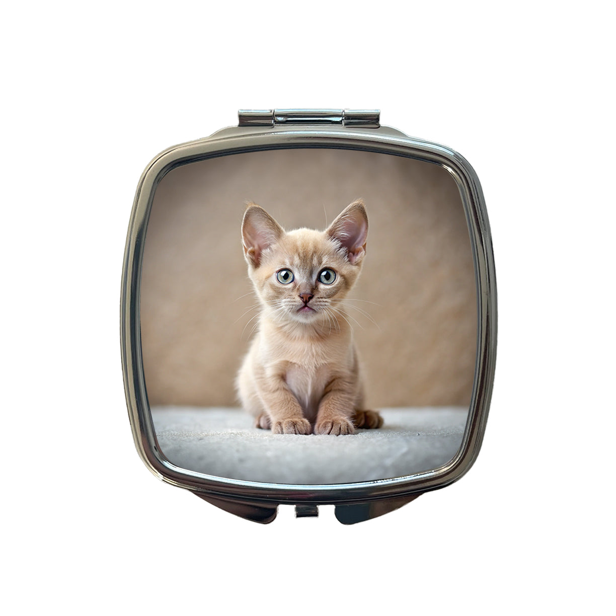 Burmese Cat Kitten Photo Small Travel Purse Handbag Pocket Makeup Compact Mirror