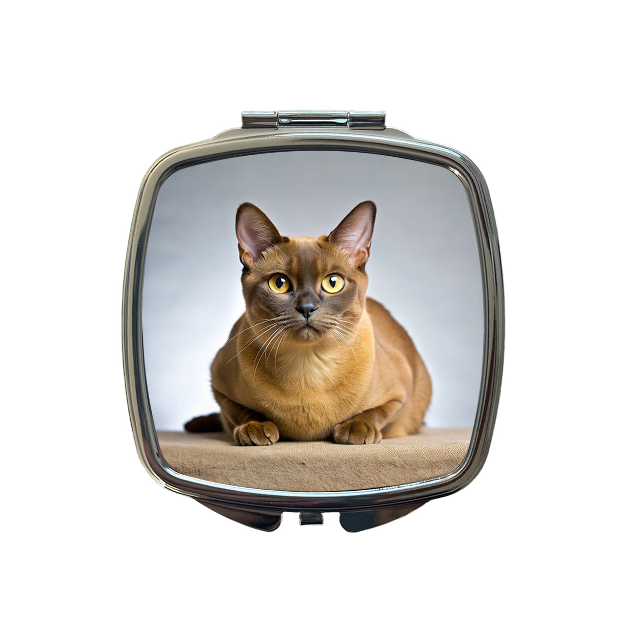 Burmese Cat Photo Small Travel Purse Handbag Pocket Makeup Compact Mirror