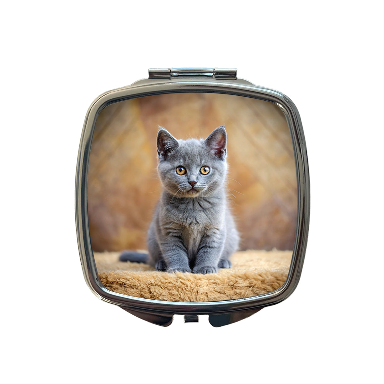 Chartreux Cat Kitten Photo Small Travel Purse Handbag Pocket Makeup Compact Mirror