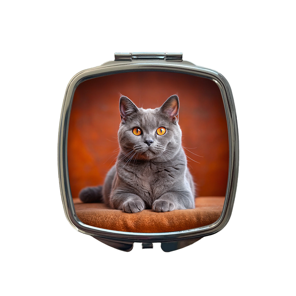 Chartreux Cat Photo Small Travel Purse Handbag Pocket Makeup Compact Mirror