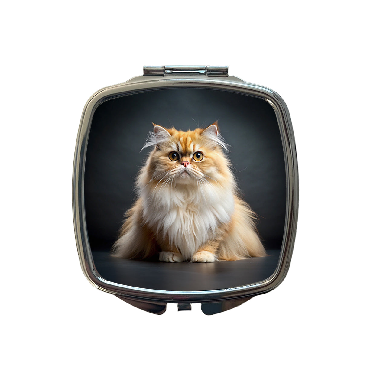 Classic Persian Cat Photo Small Travel Purse Handbag Pocket Makeup Compact Mirror