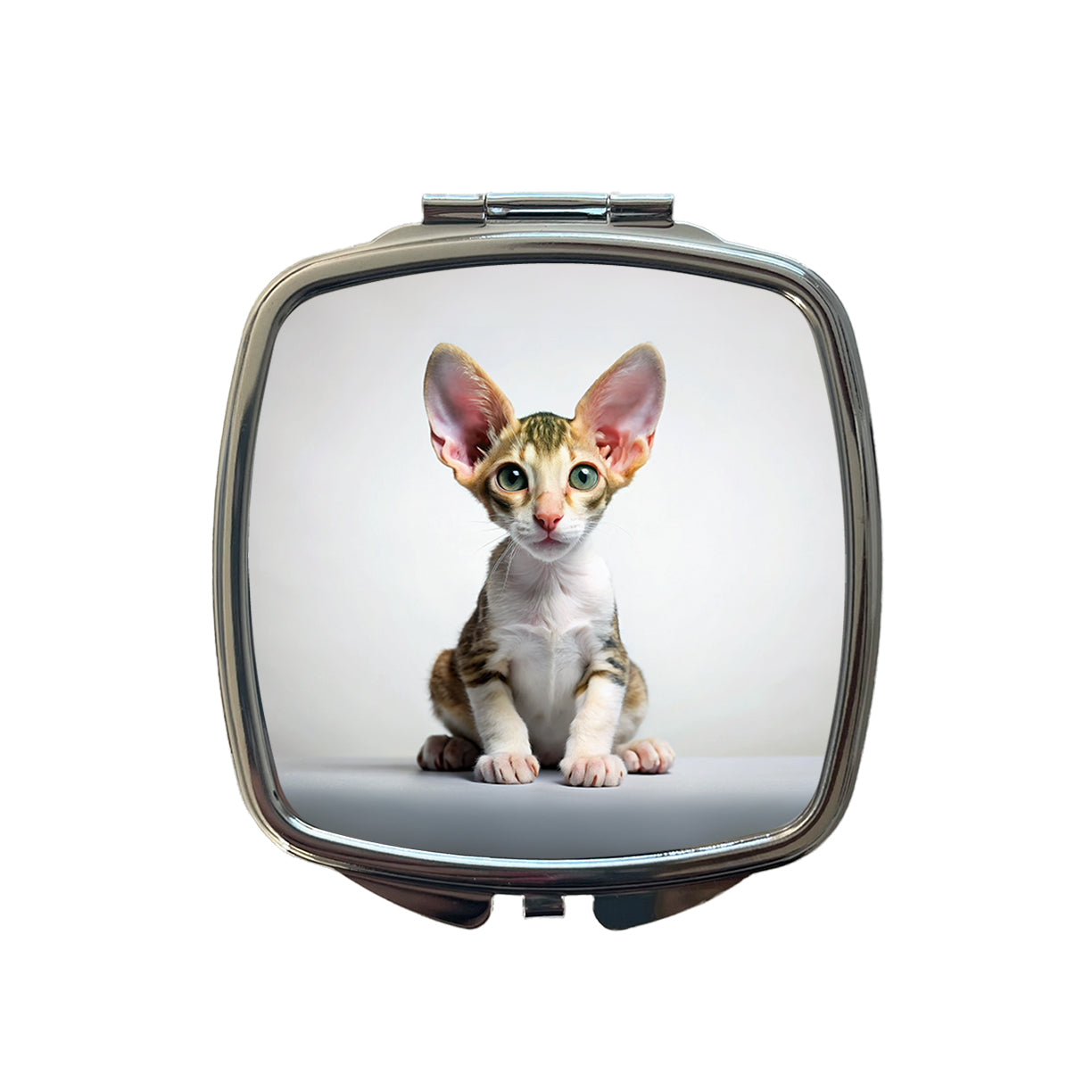 Cornish Rex Cat Kitten Photo Small Travel Purse Handbag Pocket Makeup Compact Mirror