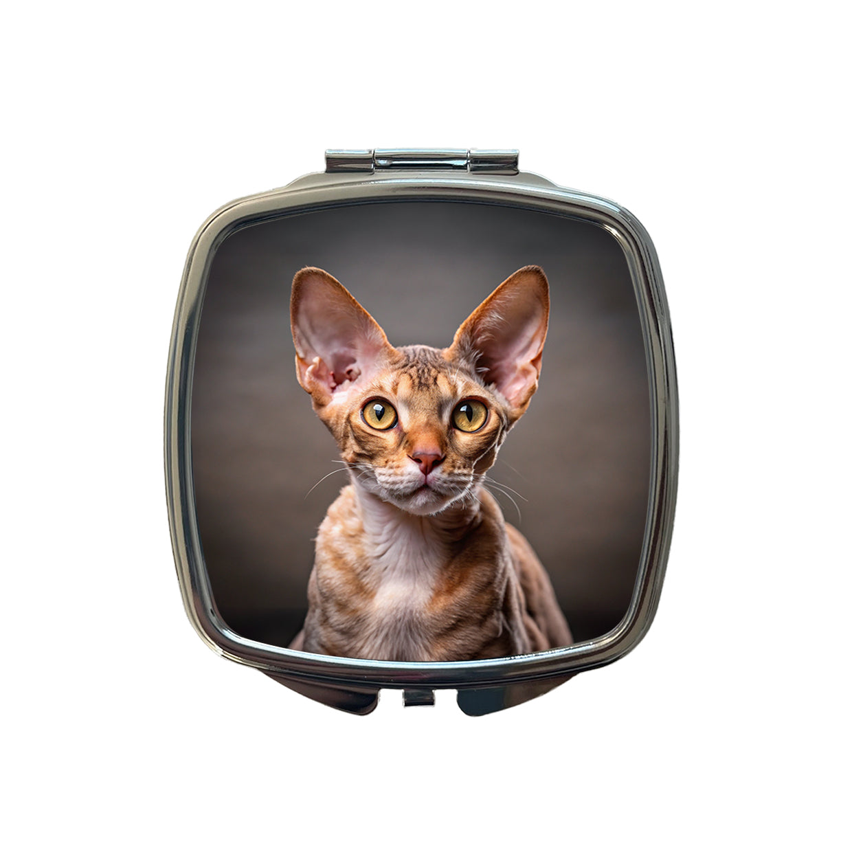 Devon Rex Cat Photo Small Travel Purse Handbag Pocket Makeup Compact Mirror
