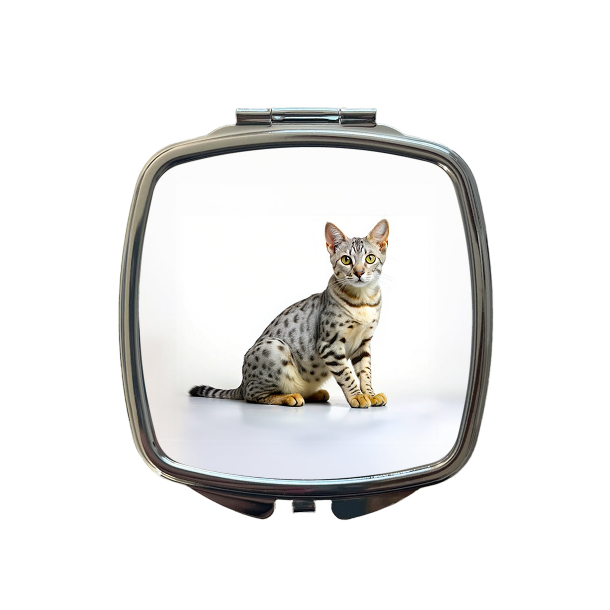 Egyptian Mau Cat Photo Small Travel Purse Handbag Pocket Makeup Compact Mirror