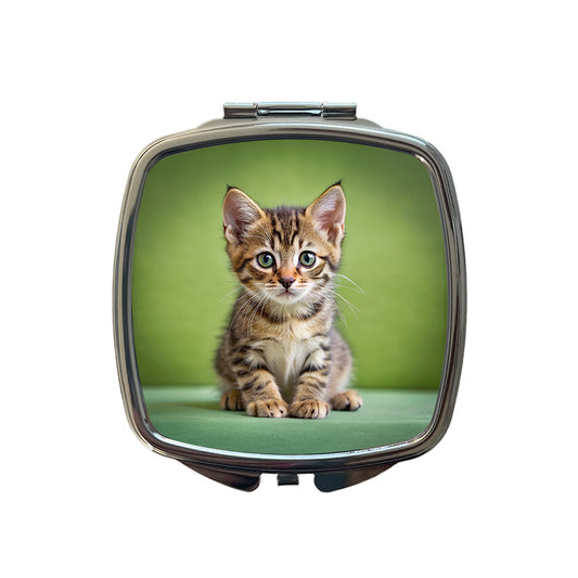 European Shorthair Cat Kitten Photo Small Travel Purse Handbag Pocket Makeup Compact Mirror