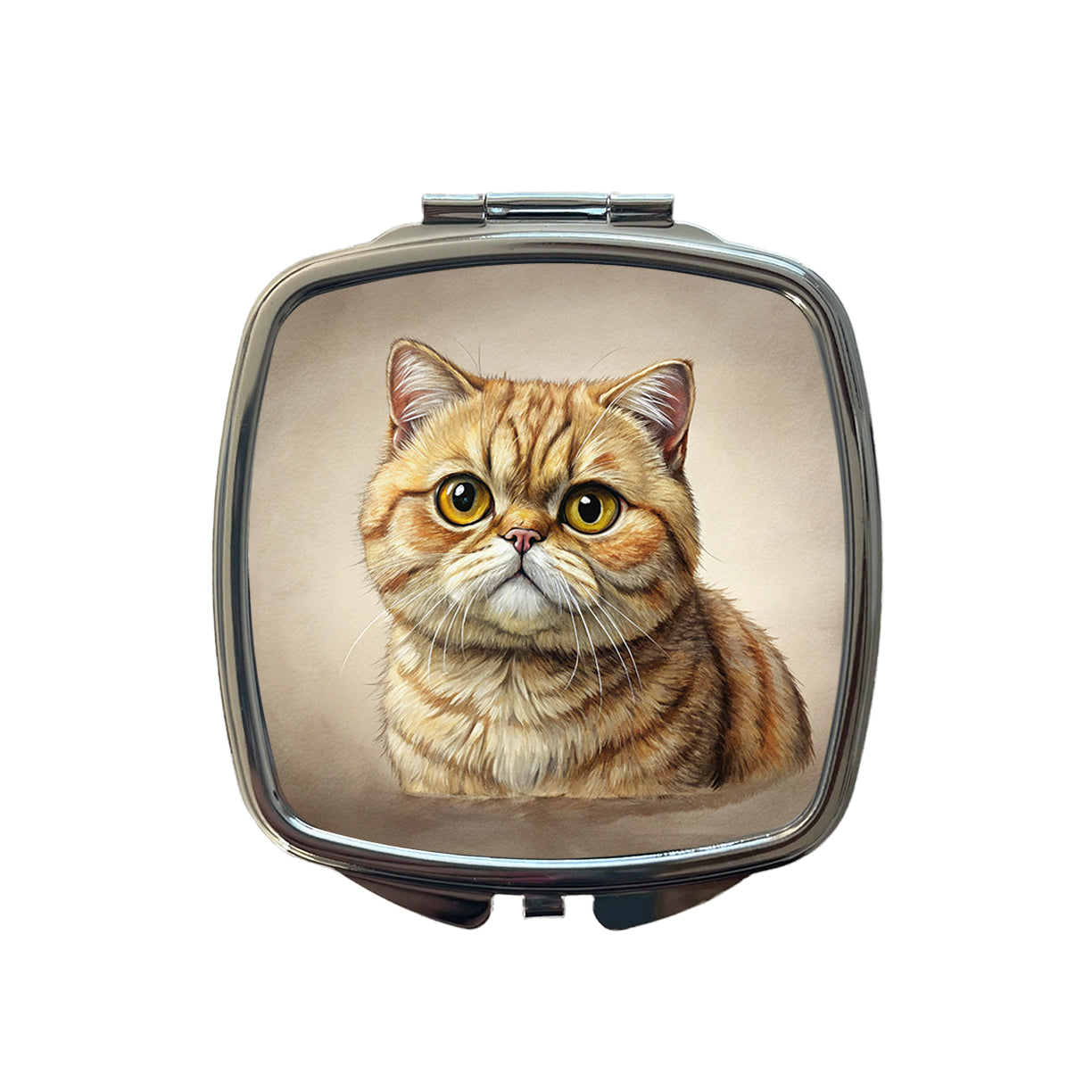 Exotic Shorthair Cat Illustration Small Travel Purse Handbag Pocket Makeup Compact Mirror