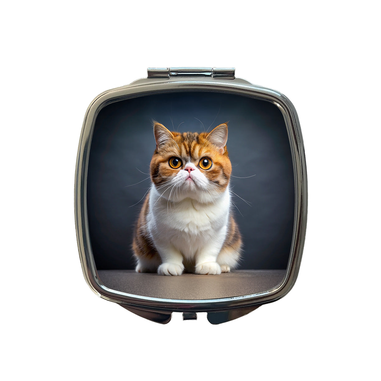 Exotic Shorthair Cat Photo Small Travel Purse Handbag Pocket Makeup Compact Mirror
