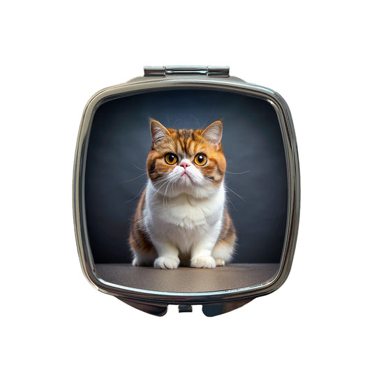 Exotic Shorthair Cat Photo Small Travel Purse Handbag Pocket Makeup Compact Mirror