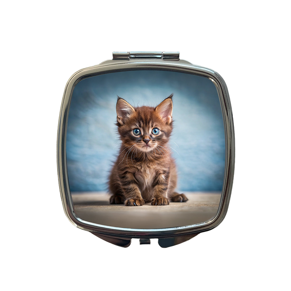 Havana Brown Cat Kitten Photo Small Travel Purse Handbag Pocket Makeup Compact Mirror