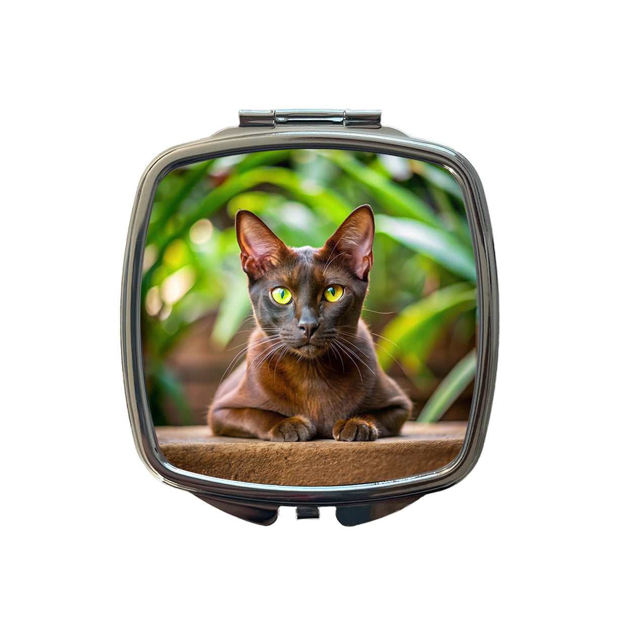Havana Brown Cat Photo Small Travel Purse Handbag Pocket Makeup Compact Mirror