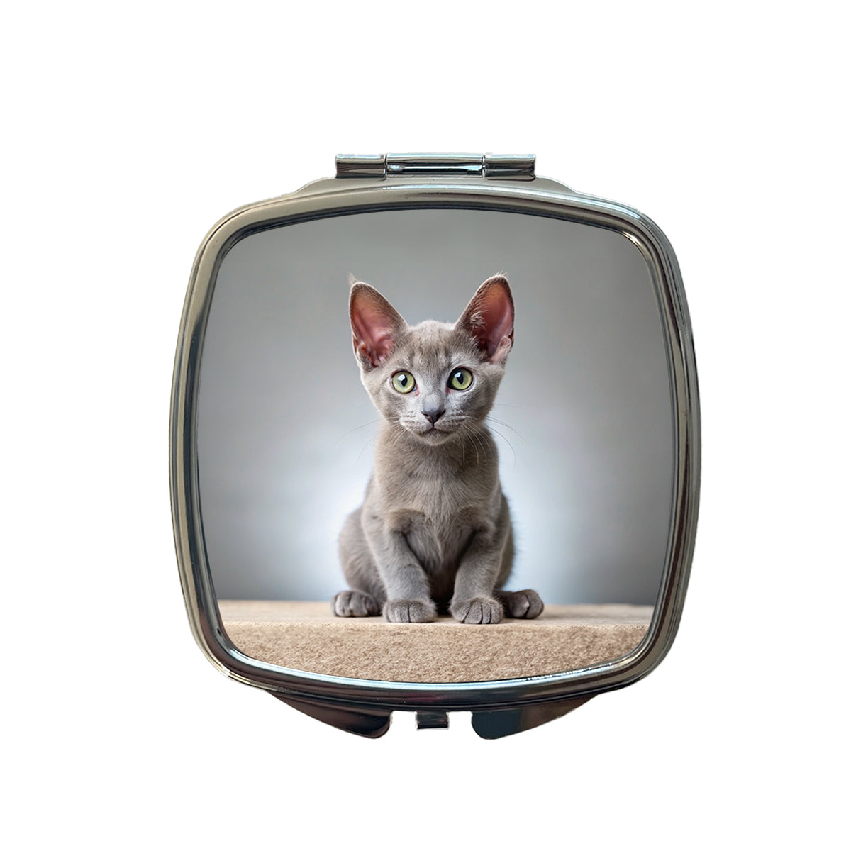 Korat Cat Kitten Photo Small Travel Purse Handbag Pocket Makeup Compact Mirror
