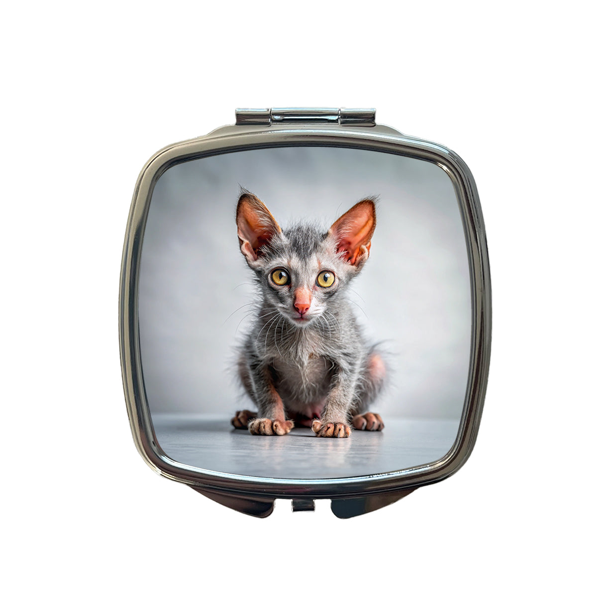 Lykoi Wolf Cat Kitten Photo Small Travel Purse Handbag Pocket Makeup Compact Mirror