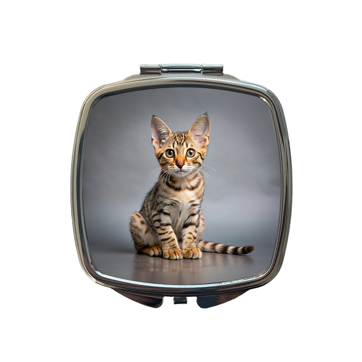 Ocicat Cat Kitten Photo Small Travel Purse Handbag Pocket Makeup Compact Mirror