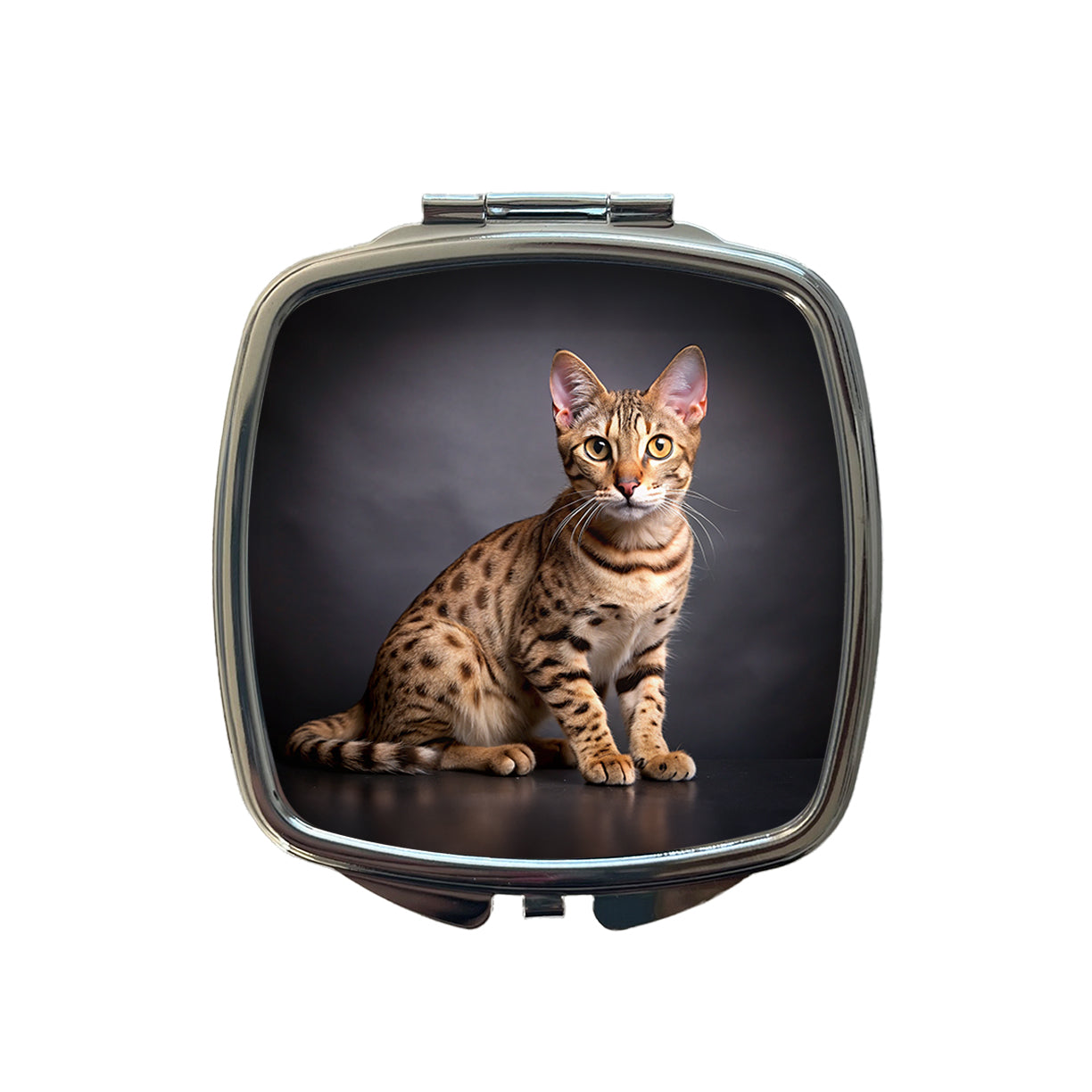 Ocicat Cat Photo Small Travel Purse Handbag Pocket Makeup Compact Mirror