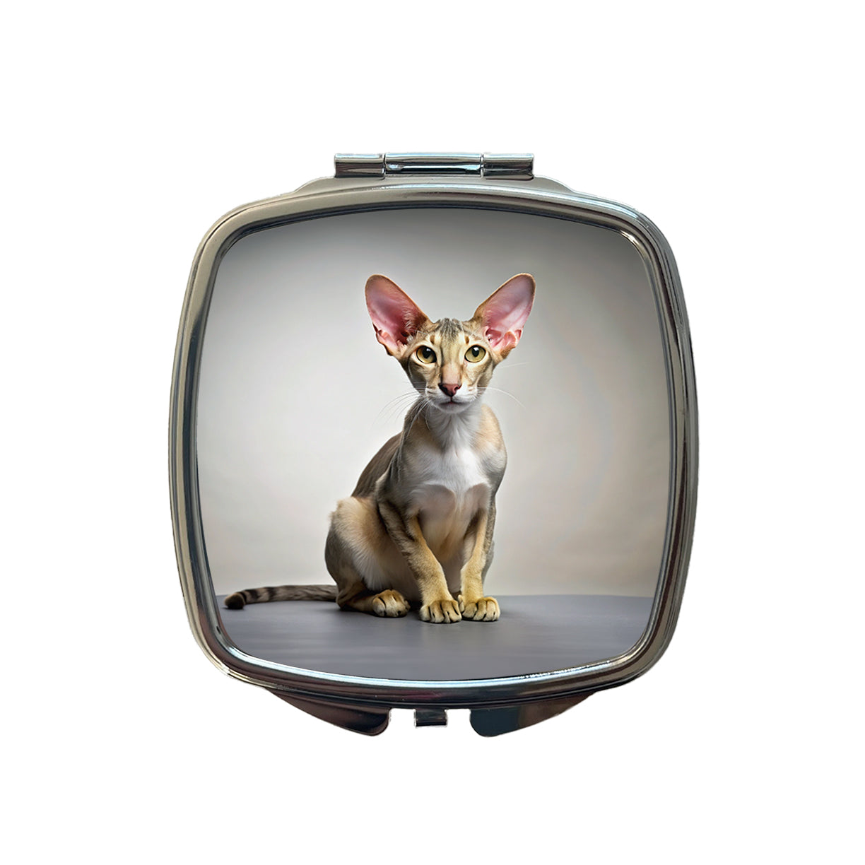 Oriental Shorthair Cat Photo Small Travel Purse Handbag Pocket Makeup Compact Mirror