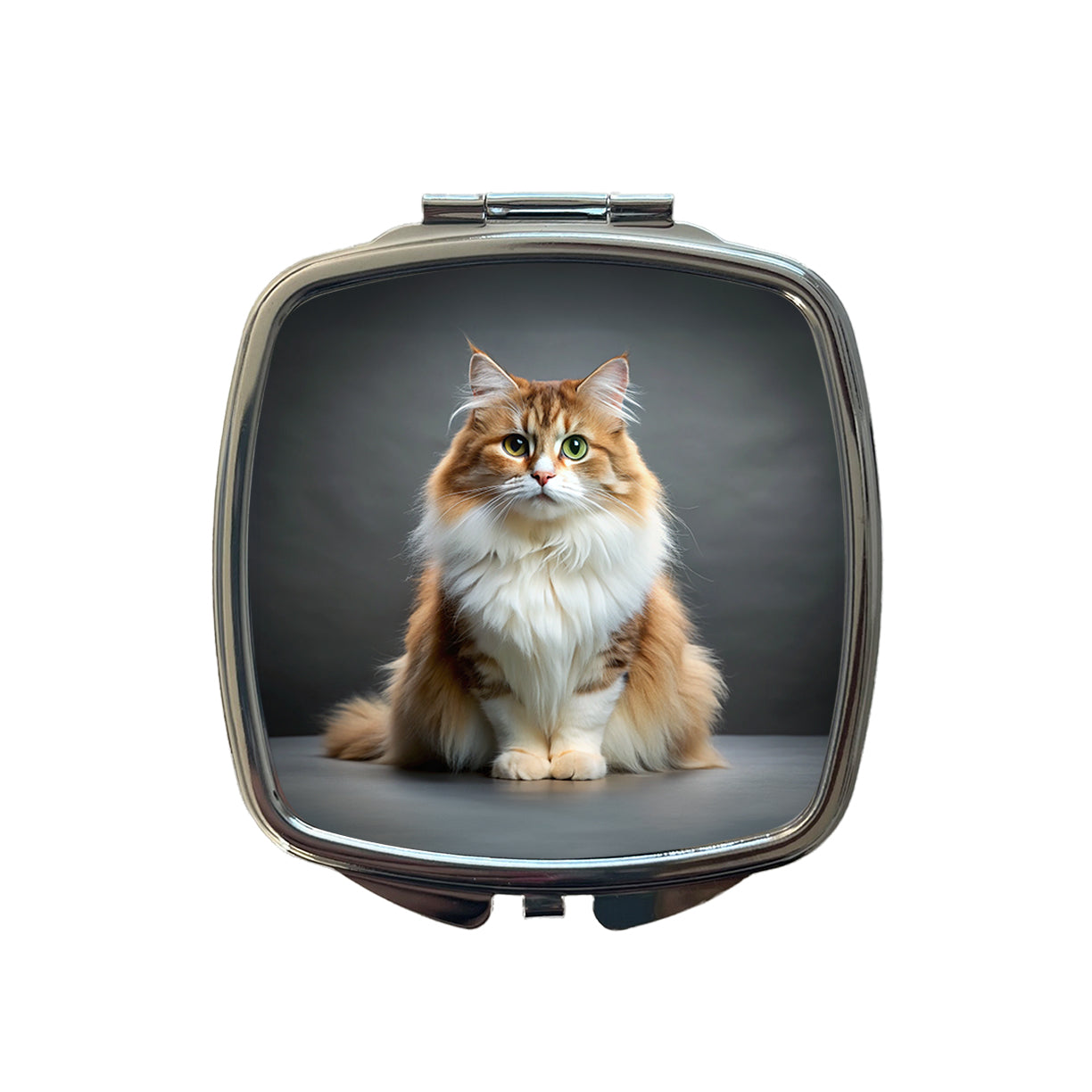 Ragamuffin Cat Photo Small Travel Purse Handbag Pocket Makeup Compact Mirror