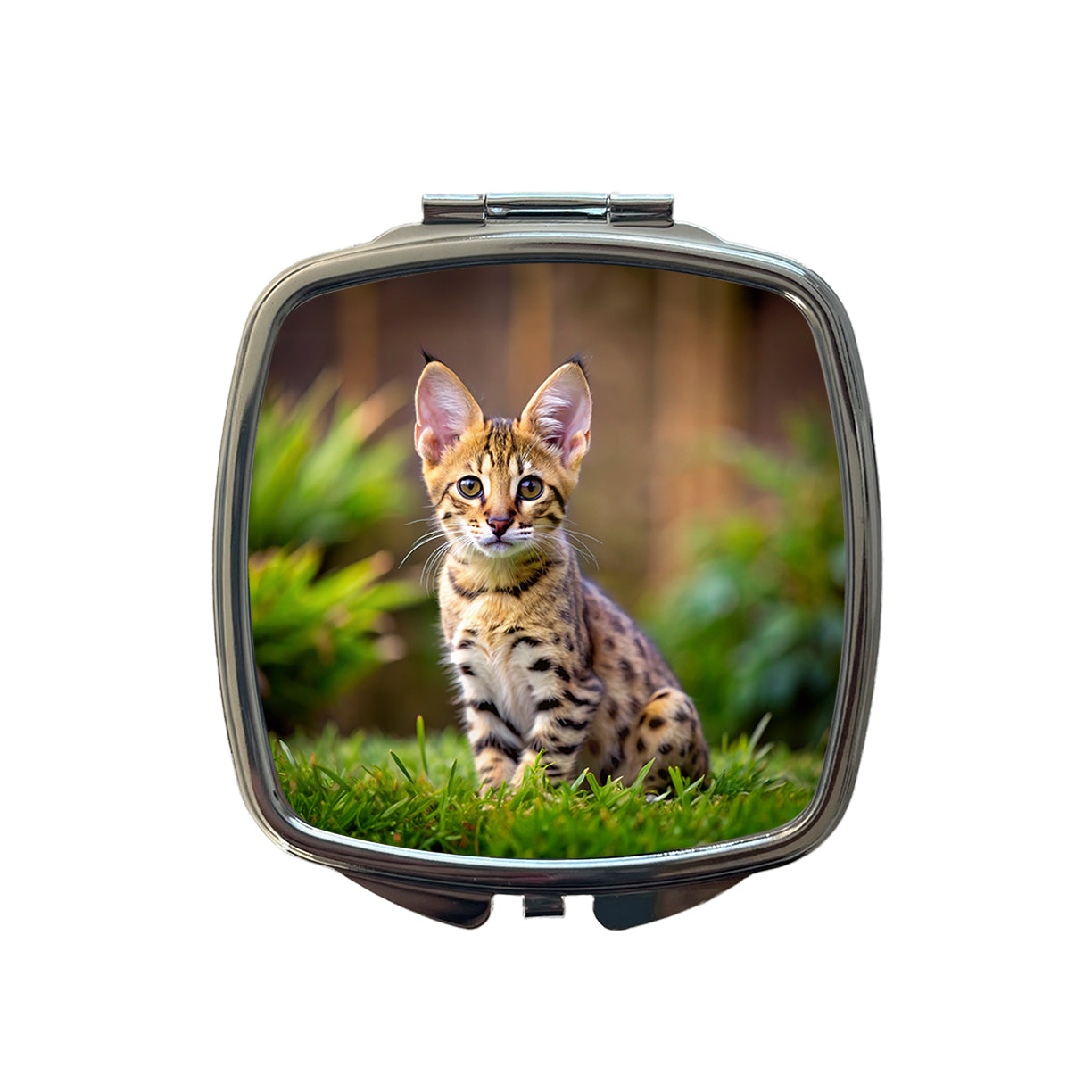 Savannah Cat Kitten Photo Small Travel Purse Handbag Pocket Makeup Compact Mirror