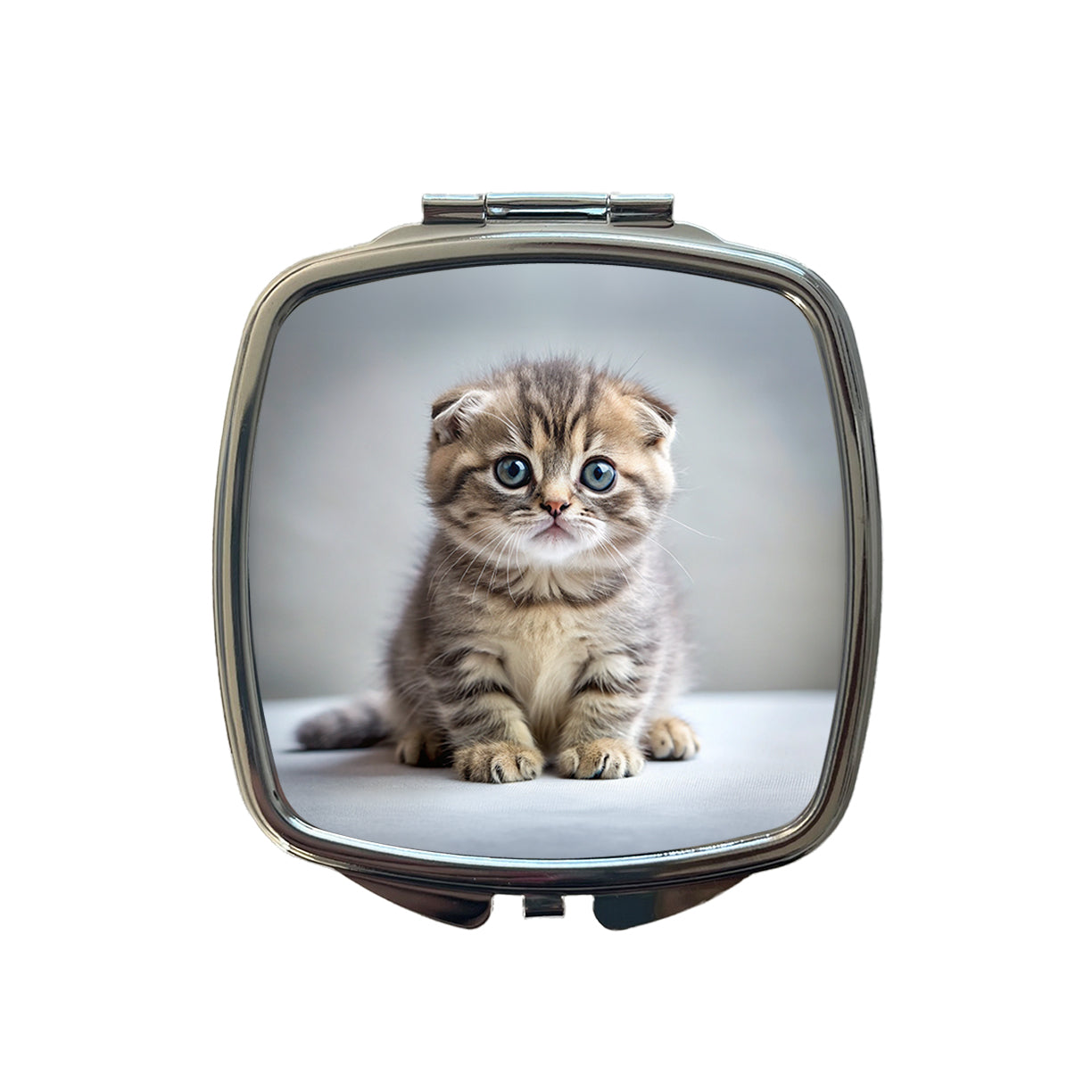 Scottish Fold Cat Kitten Photo Small Travel Purse Handbag Pocket Makeup Compact Mirror