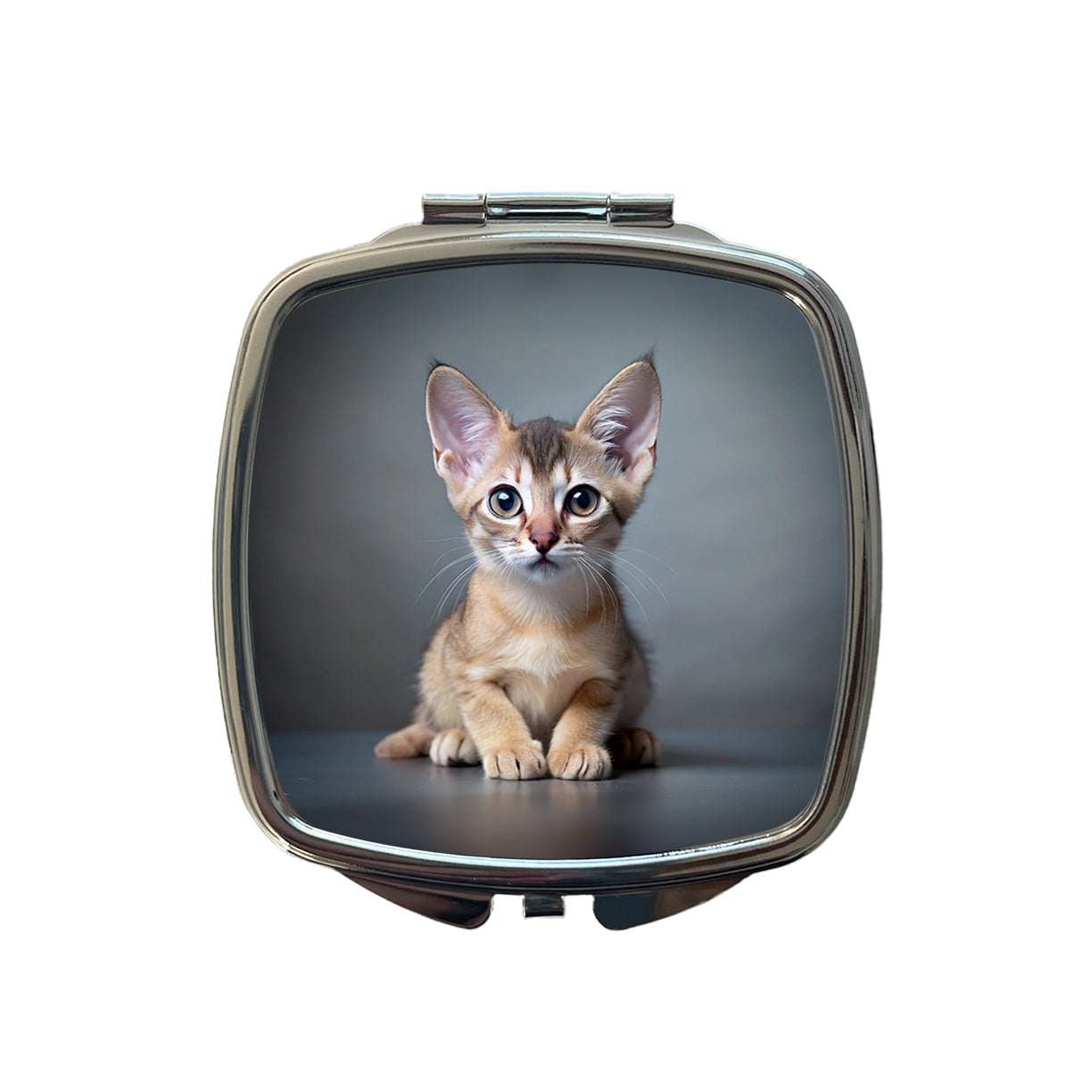 Singapura Cat Kitten Photo Small Travel Purse Handbag Pocket Makeup Compact Mirror