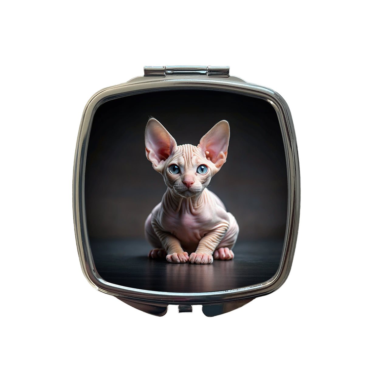 Sphynx Cat Kitten Photo Small Travel Purse Handbag Pocket Makeup Compact Mirror