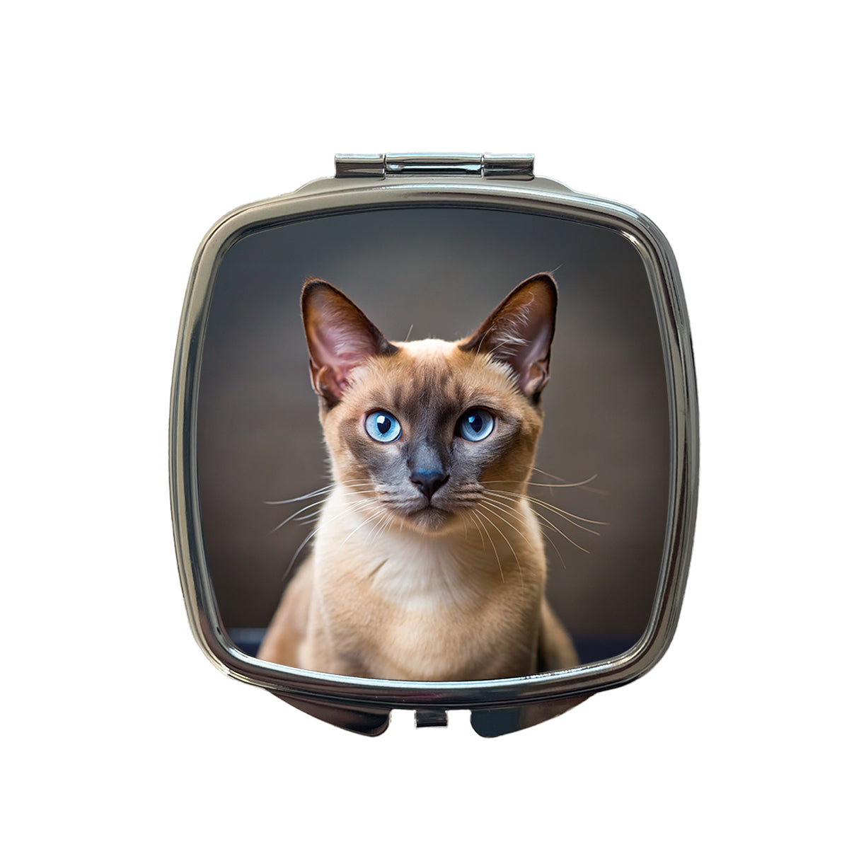Tonkinese Cat Photo Small Travel Purse Handbag Pocket Makeup Compact Mirror