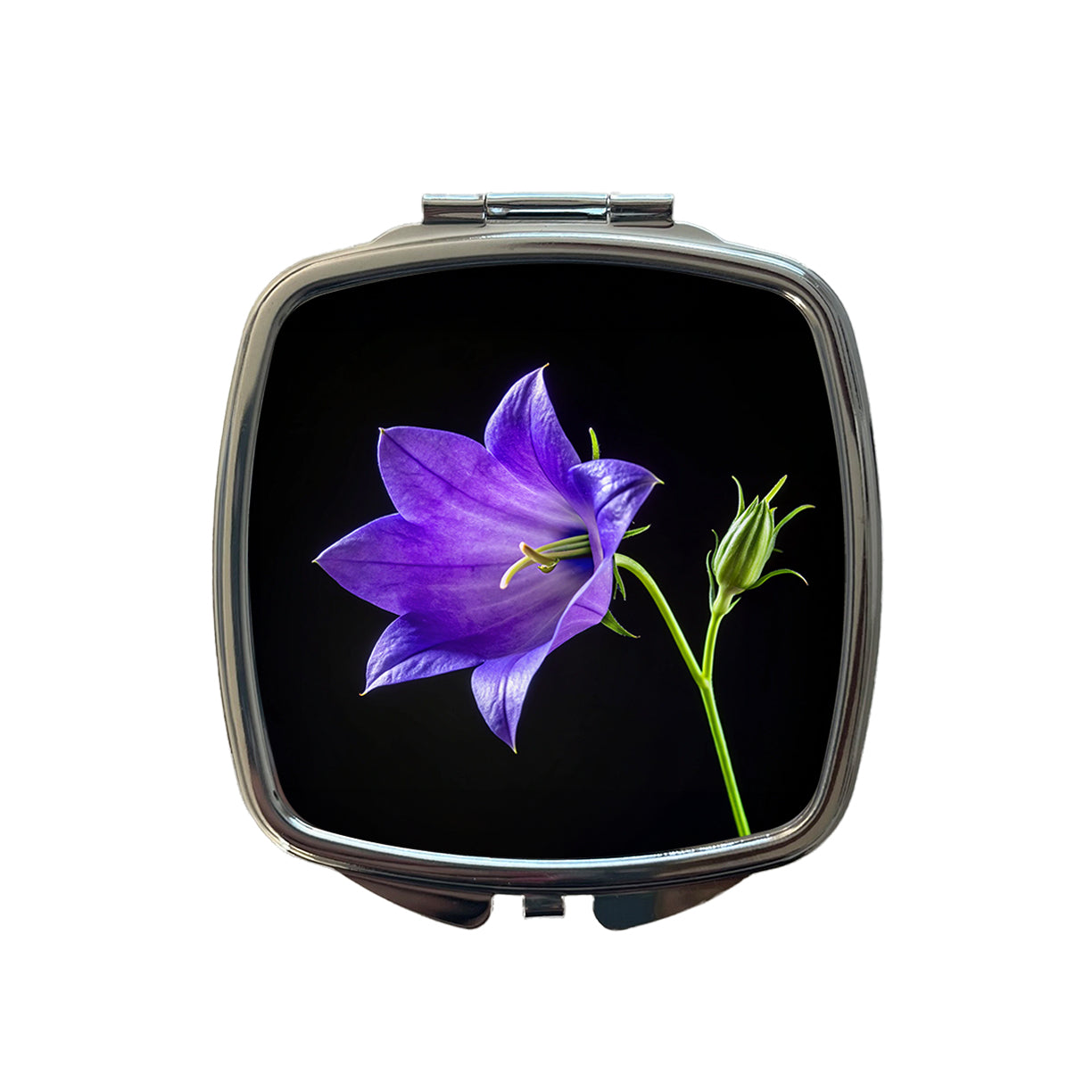 Bellflower Purple Flower Photo Small Travel Purse Handbag Pocket Makeup Compact Mirror