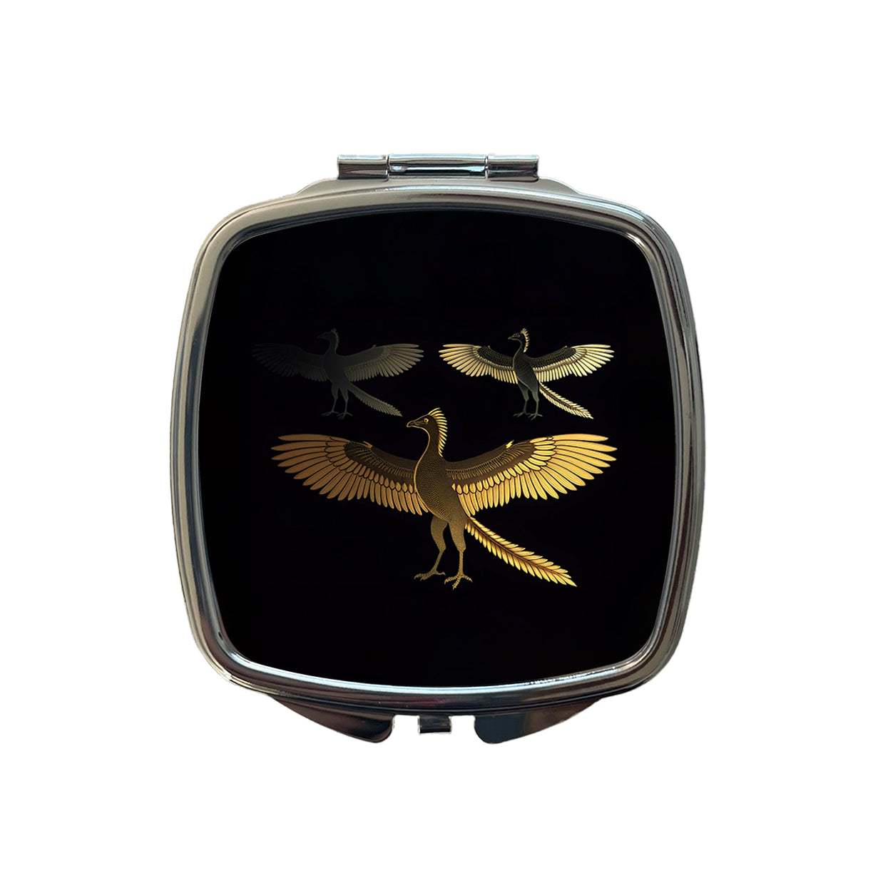 Archaeopteryx Sketch Dinosaurs Small Travel Purse Handbag Pocket Makeup Compact Mirror