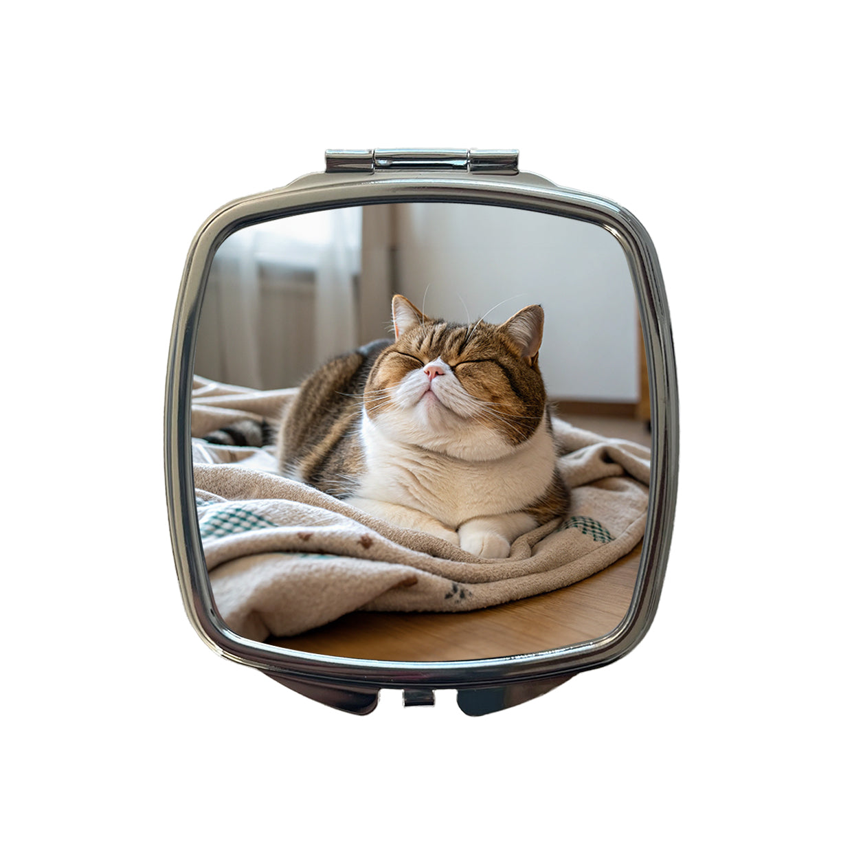 Chubby Cat Lying Down Cute Small Travel Purse Handbag Pocket Makeup Compact Mirror