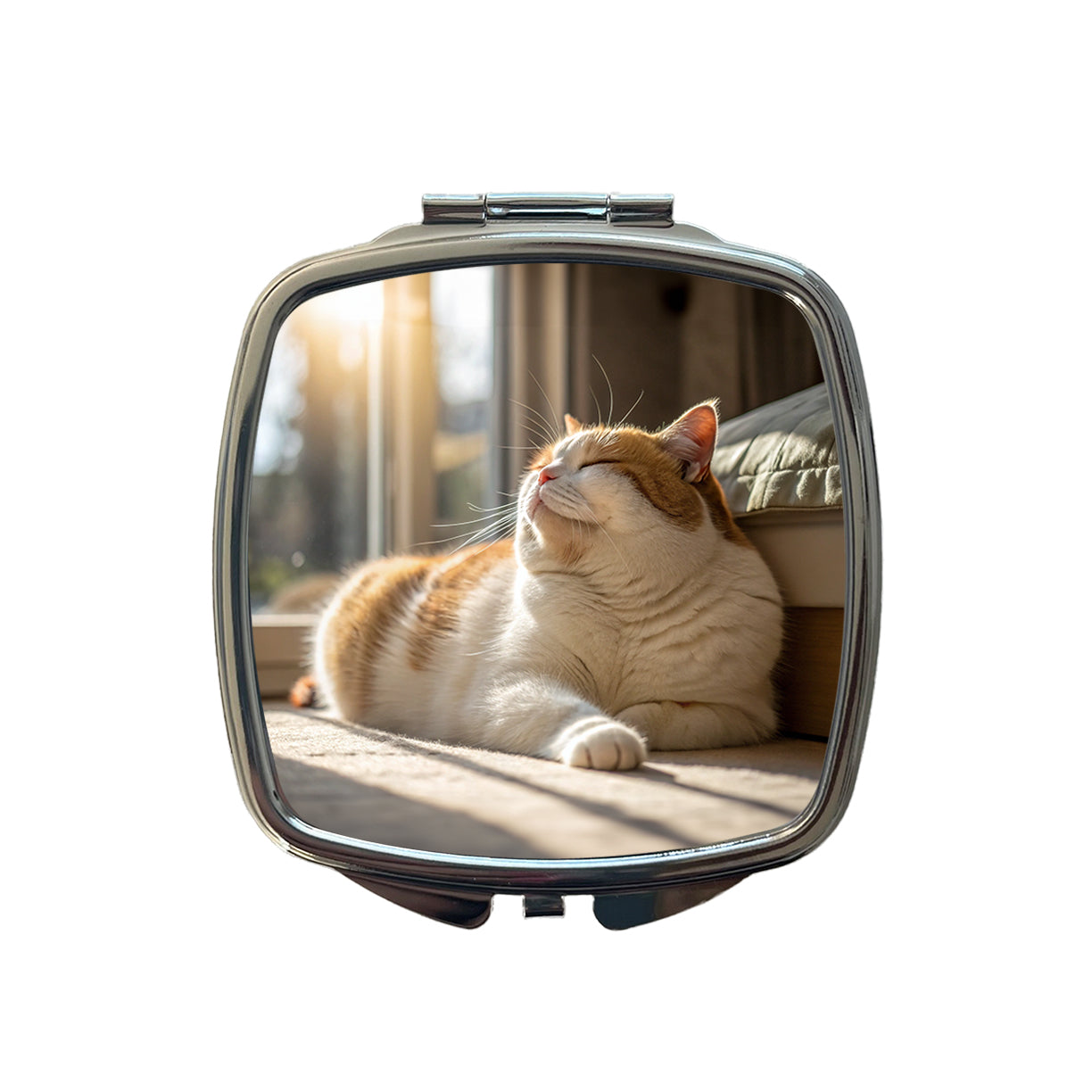 Chubby Cat Lying Down Photo Small Travel Purse Handbag Pocket Makeup Compact Mirror
