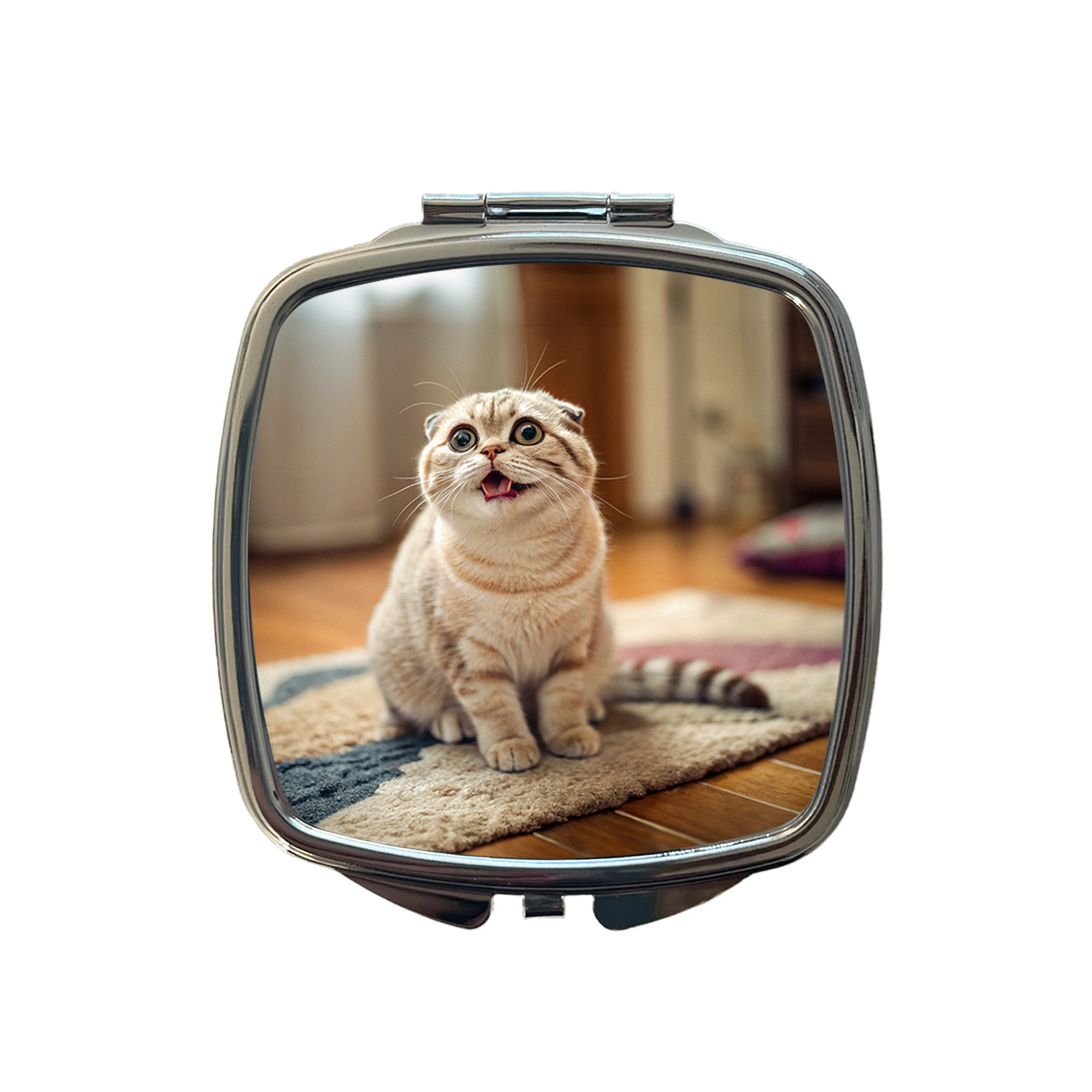 Dopey Cat Silly Small Travel Purse Handbag Pocket Makeup Compact Mirror
