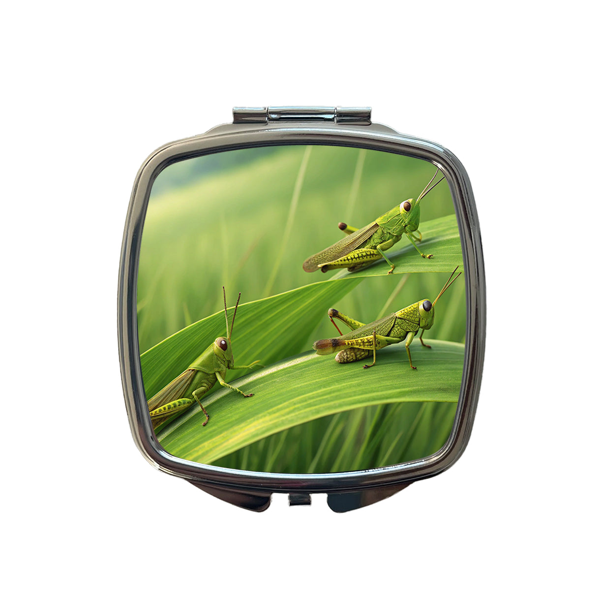 Grasshoppers On Grass Small Travel Purse Handbag Pocket Makeup Compact Mirror