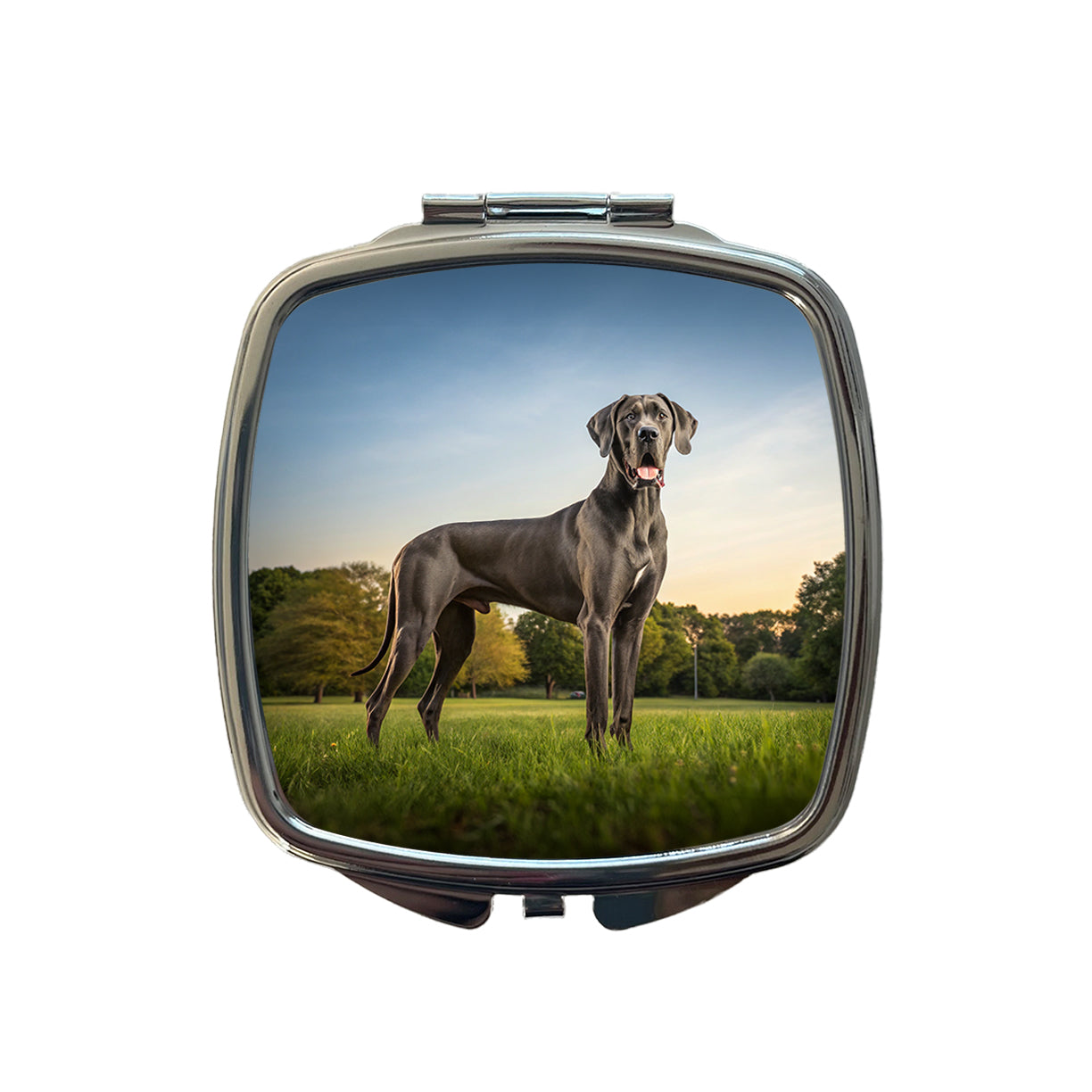 Great Dane In Grass Small Travel Purse Handbag Pocket Makeup Compact Mirror