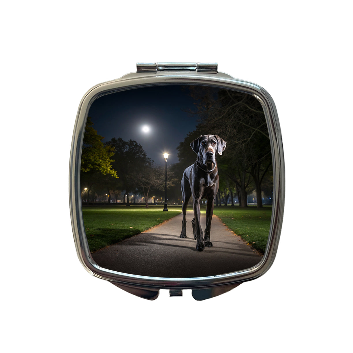 Great Dane In Park At Night Small Travel Purse Handbag Pocket Makeup Compact Mirror