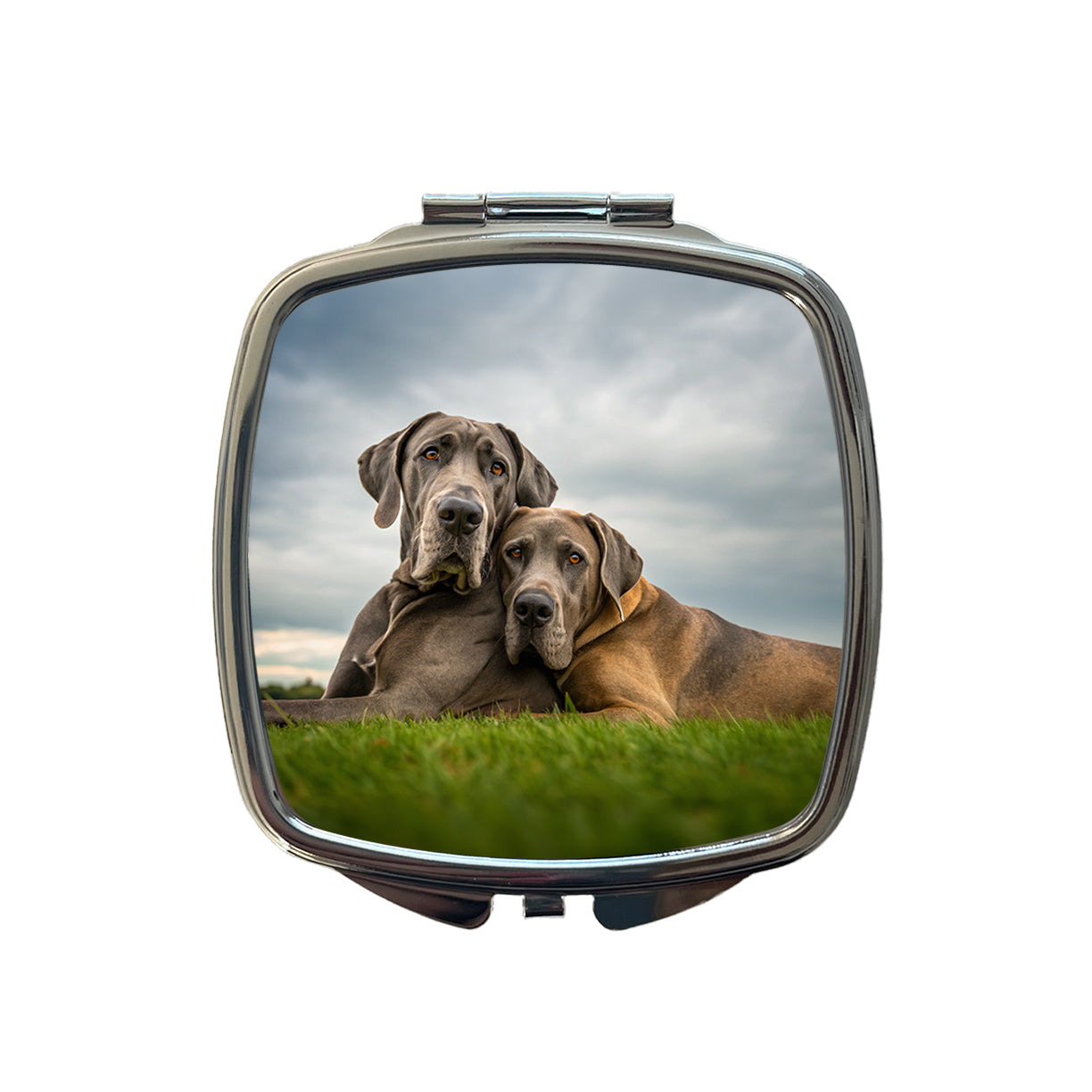 Great Danes In Love Friends Buddies Small Travel Purse Handbag Pocket Makeup Compact Mirror